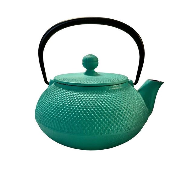 Japanese Cast Iron Turquoise Painted Teapot - Picture 1 of 7